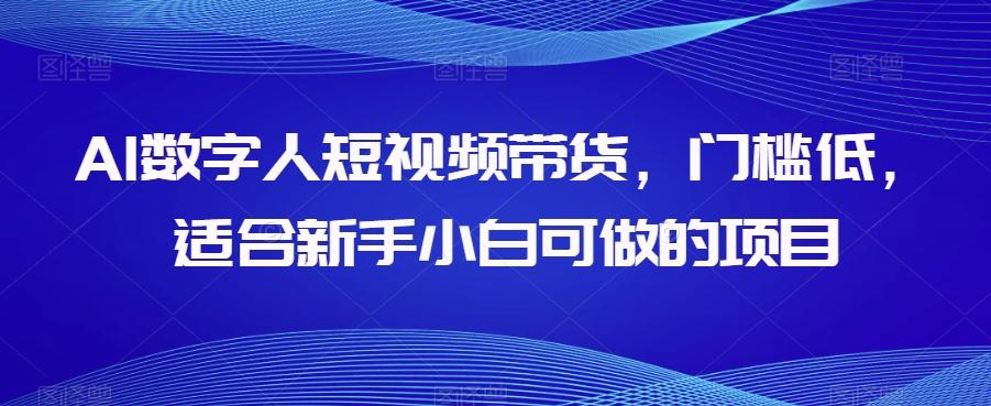 AI数字人短视频带货，门槛低，适合新手小白可做的项目-天韵资源网