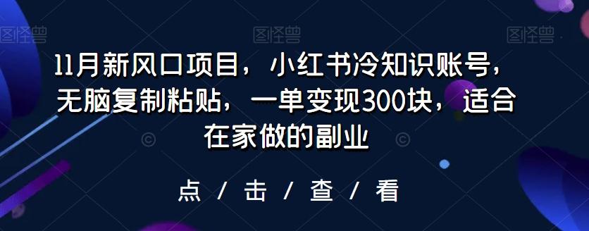 11月新风口项目，小红书冷知识账号，无脑复制粘贴，一单变现300块，适合在家做的副业-天韵资源网