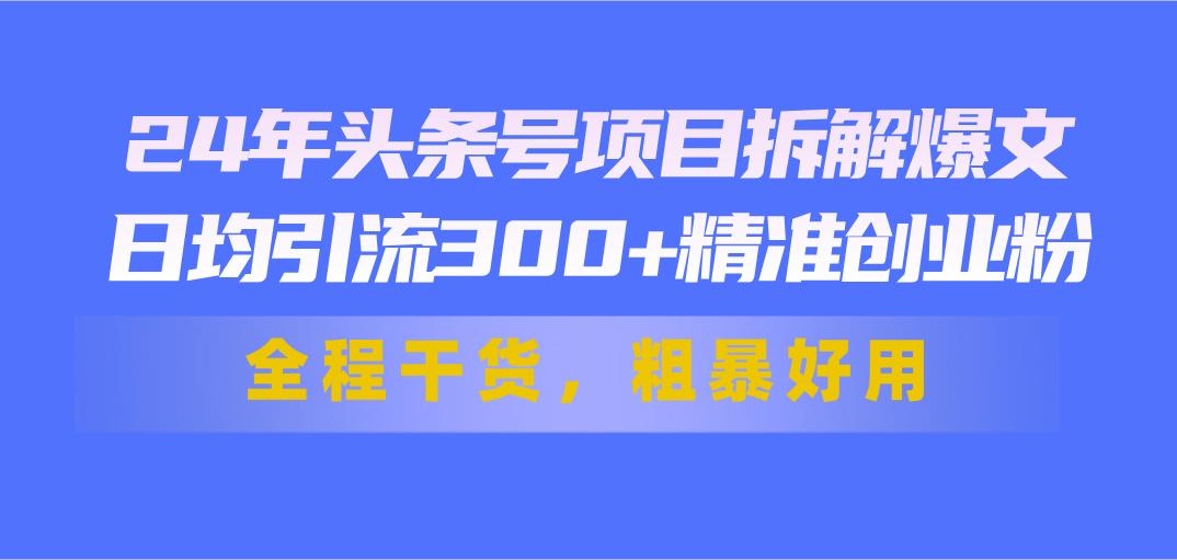 24年头条号项目拆解爆文，日均引流300+精准创业粉，全程干货，粗暴好用-天韵资源网