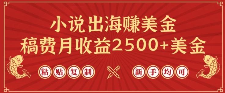 小说出海赚美金，稿费月收益2500+美金，仅需chatgpt粘贴复制，新手也能玩转【揭秘】-天韵资源网
