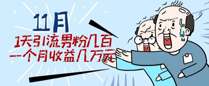 11月最新每天引流男粉300+一个月收益几万元-天韵资源网