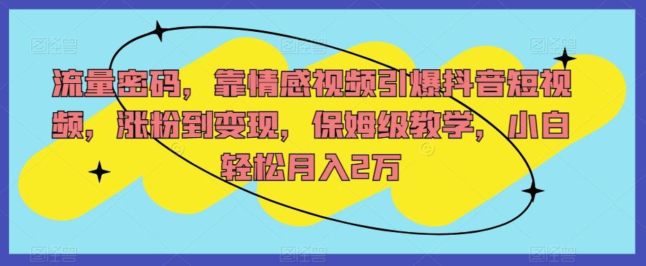 流量密码，靠情感视频引爆抖音短视频，涨粉到变现，保姆级教学，小白轻松月入2万【揭秘】-天韵资源网