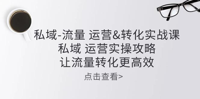 私域-流量 运营&转化实操课：私域 运营实操攻略 让流量转化更高效-天韵资源网