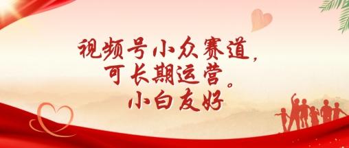 视频号小众赛道，可长期运营，小白友好【揭秘】-天韵资源网