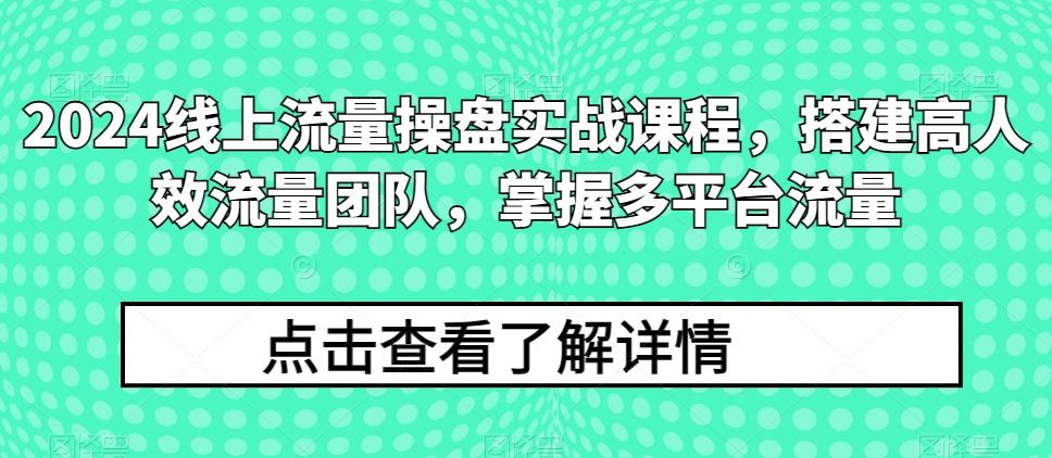 2024线上流量操盘实战课程，搭建高人效流量团队，掌握多平台流量-天韵资源网