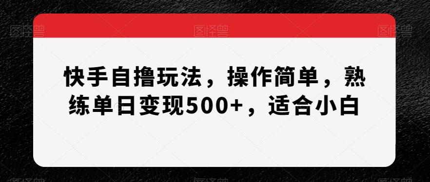 快手自撸玩法，操作简单，熟练单日变现500+，适合小白【揭秘】-天韵资源网