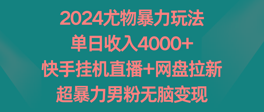 2024尤物暴力玩法 单日收入4000+快手挂机直播+网盘拉新 超暴力男粉无脑变现-天韵资源网