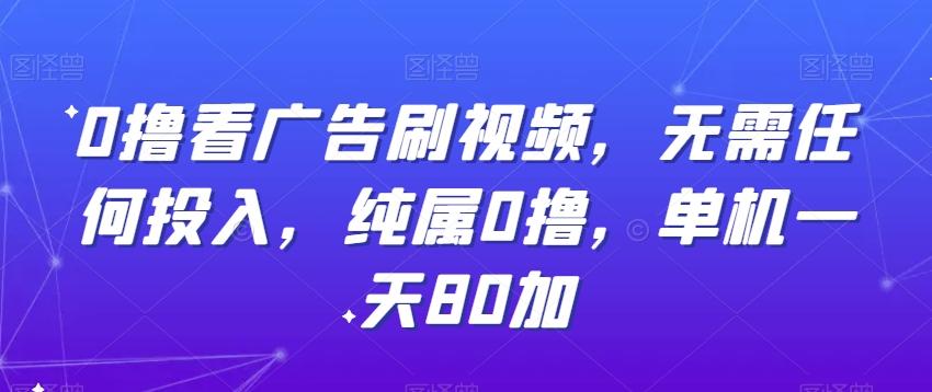 0撸看广告刷视频，无需任何投入，纯属0撸，单机一天80加-天韵资源网