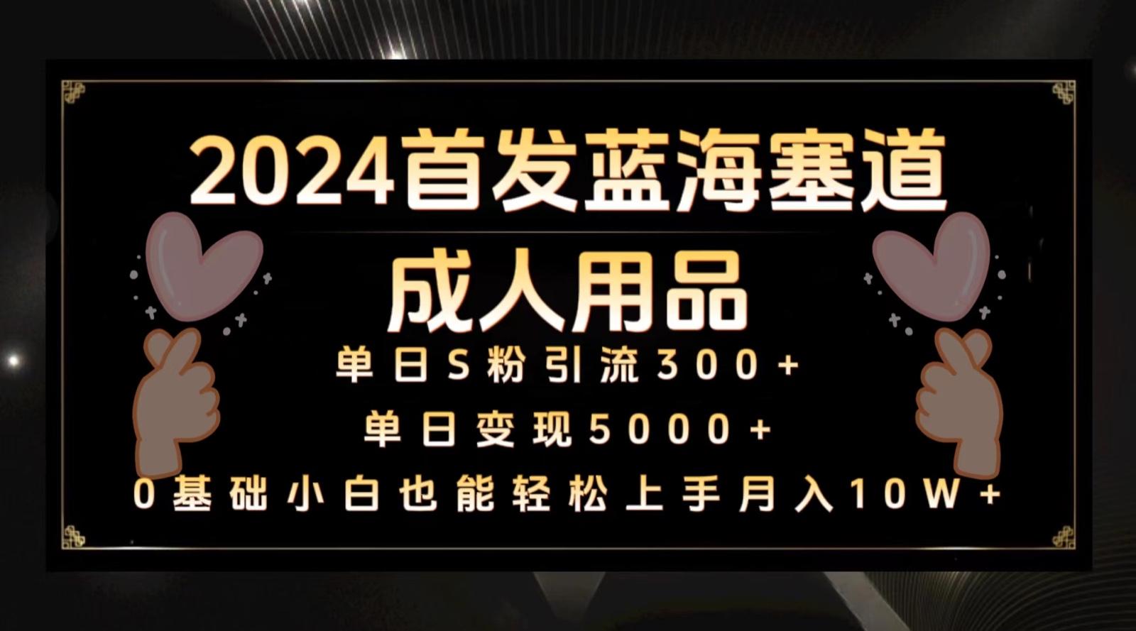2024首发蓝海塞道成人用品，月入10W+保姆教程-天韵资源网