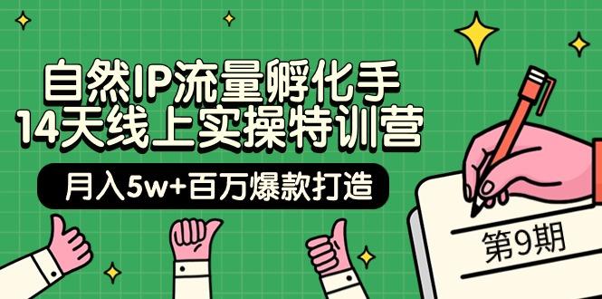 (9881期)自然IP流量孵化手 14天线上实操特训营【第9期】月入5w+百万爆款打造 (74节)-天韵资源网