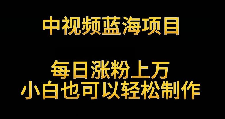 中视频蓝海项目，解读英雄人物生平，每日涨粉上万，小白也可以轻松制作，月入过万不是梦【揭秘】-天韵资源网