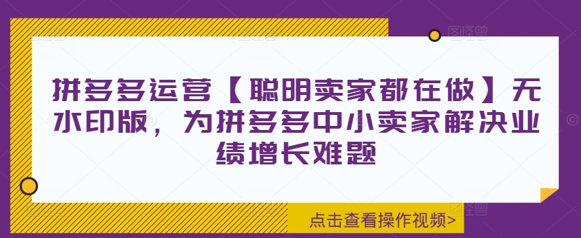 拼多多运营【聪明卖家都在做】无水印版，为拼多多中小卖家解决业绩增长难题-天韵资源网