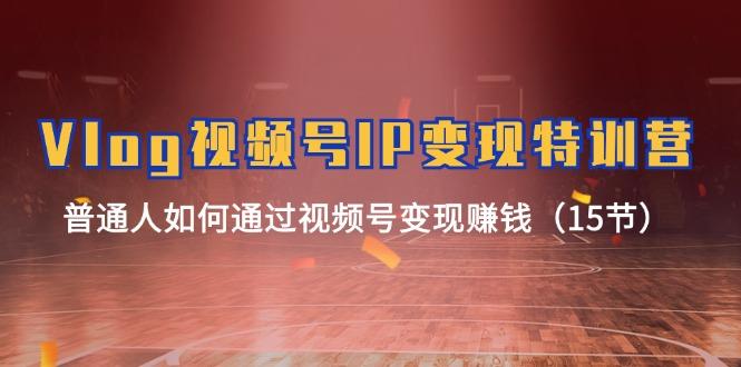 Vlog 视频号IP变现特训营，普通人如何通过视频号变现赚钱(15节-天韵资源网