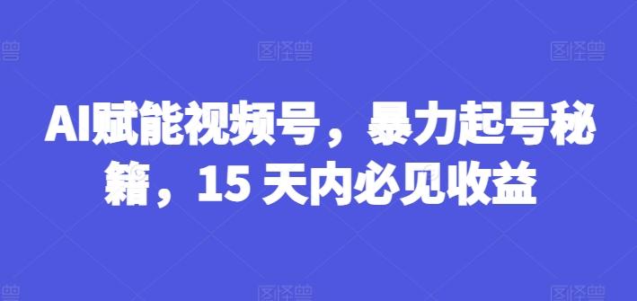 AI赋能视频号，暴力起号秘籍，15 天内必见收益【揭秘】-天韵资源网