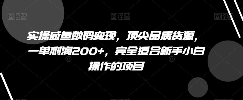 实操咸鱼数码变现，顶尖品质货源，一单利润200+，完全适合新手小白操作的项目【揭秘】-天韵资源网