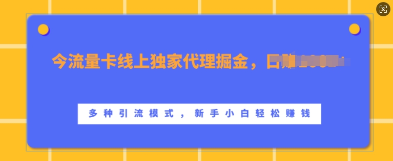 流量卡线上独家代理掘金，日入1k+ ，多种引流模式，新手小白轻松上手【揭秘】-天韵资源网