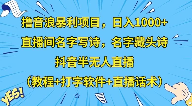 撸音浪暴利项目，日入1000+，直播间名字写诗，名字藏头诗，抖音半无人直播（教程+打字软件+直播话术）【揭秘】-天韵资源网