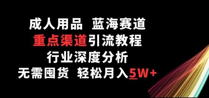 成人用品，蓝海赛道，重点渠道引流教程，行业深度分析，无需囤货，轻松月入5W+【揭秘】-天韵资源网