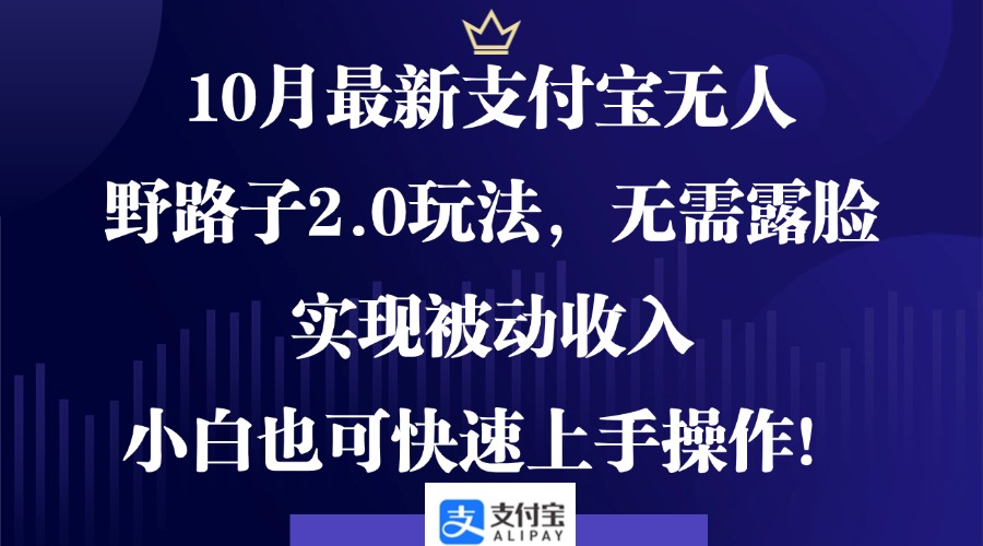 10月最新支付宝无人野路子2.0玩法，无需露脸，实现被动收入，小白也可…-天韵资源网