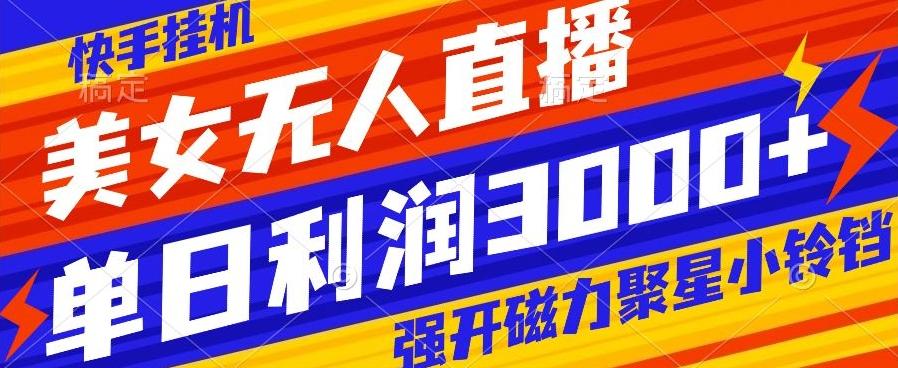 快手挂机，美女无人直播，强开磁力聚星小铃铛，日入3000+-天韵资源网