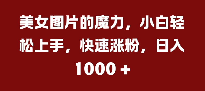 美女图片的魔力，小白轻松上手，快速涨粉，日入几张【揭秘】-天韵资源网