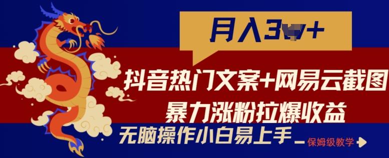 抖音热门文案+网易云截图暴力涨粉拉爆收益玩法，小白无脑操作，简单易上手【揭秘】-天韵资源网