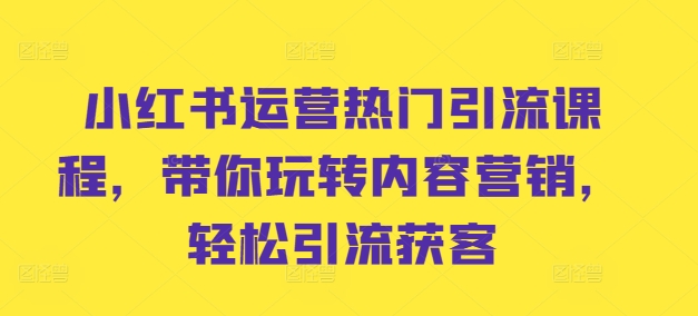 小红书运营热门引流课程，带你玩转内容营销，轻松引流获客-天韵资源网