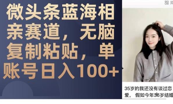 微头条蓝海相亲赛道，无脑复制粘贴，单账号日入100+-天韵资源网