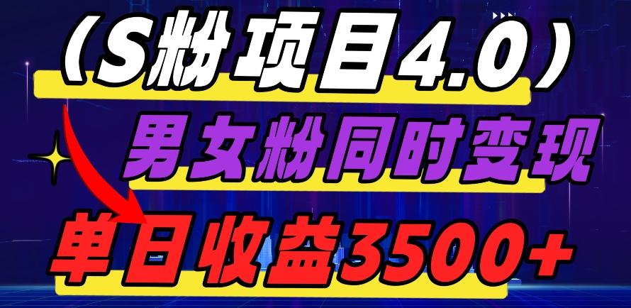 S粉项目4.0，男女粉通吃，男女粉同时变现，单日收益3500+-天韵资源网