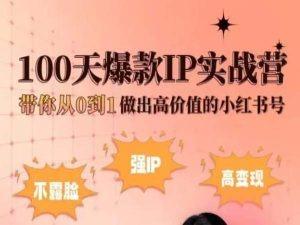 小红书100天爆款IP实战营，带你从0到1做出高价值的小红书号-天韵资源网