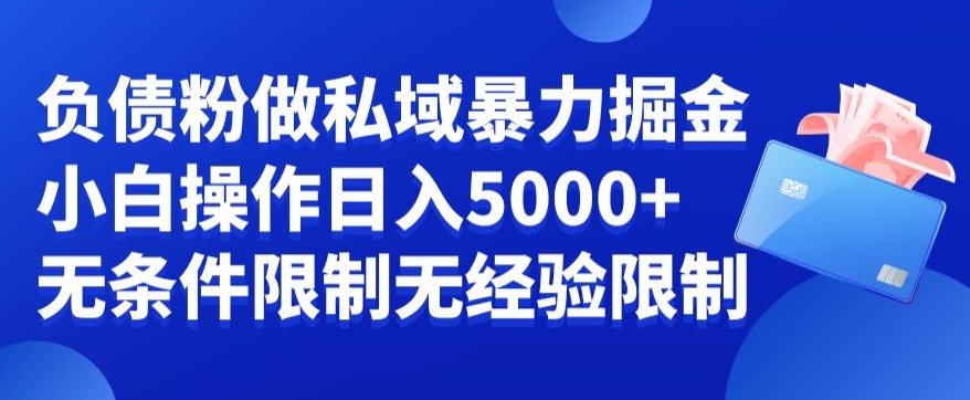 负债粉私域暴力掘金，小白操作入5000，无经验限制，无条件限制【揭秘】-天韵资源网