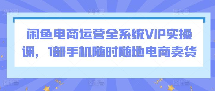 闲鱼电商运营全系统VIP实操课，1部手机随时随地电商卖货-天韵资源网