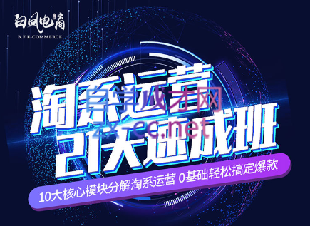 淘系运营21天速成班(更新24年5月)-天韵资源网