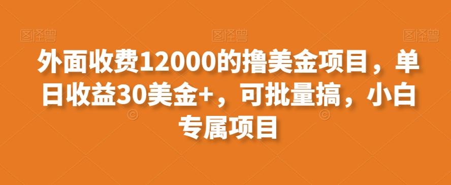 外面收费12000的撸美金项目，单日收益30美金+，可批量搞，小白专属项目-天韵资源网