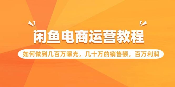 (9560期)闲鱼电商运营教程：如何做到几百万曝光，几十万的销售额，百万利润-天韵资源网