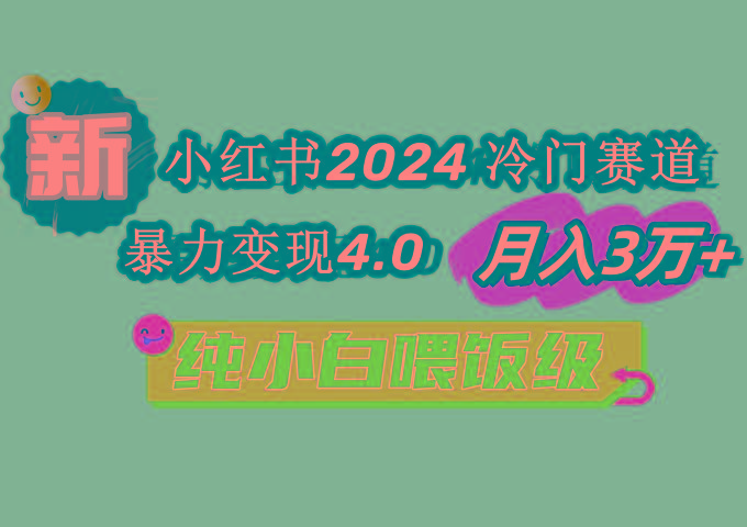 小红书2024冷门赛道 月入3万+ 暴力变现4.0 纯小白喂饭级-天韵资源网