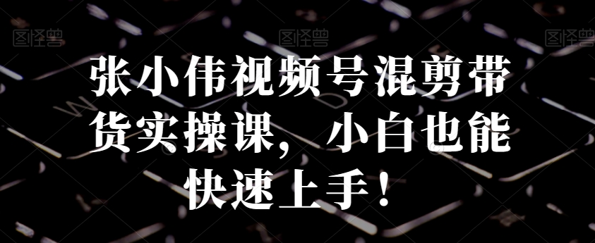 张小伟视频号混剪带货实操课，小白也能快速上手！-天韵资源网