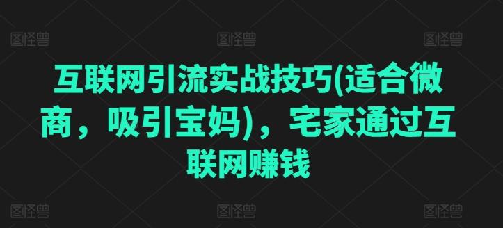 互联网引流实战技巧(适合微商，吸引宝妈)，宅家通过互联网赚钱-天韵资源网