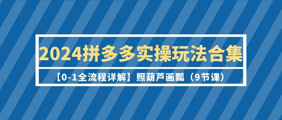 (9559期)2024拼多多实操玩法合集【0-1全流程详解】照葫芦画瓢(9节课)-天韵资源网