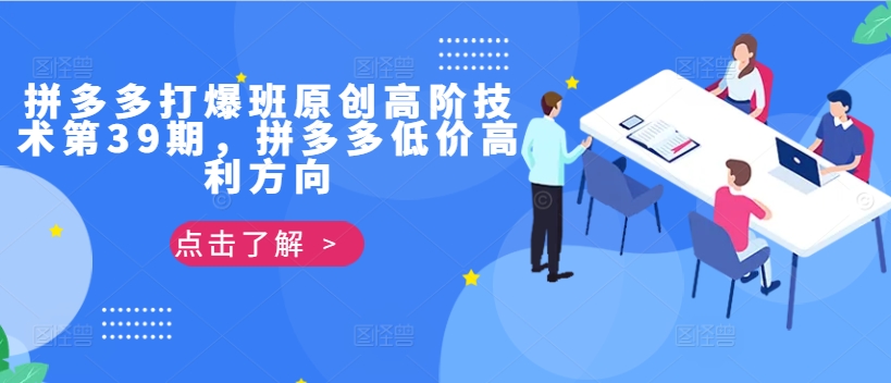 拼多多打爆班原创高阶技术第39期，拼多多低价高利方向-天韵资源网