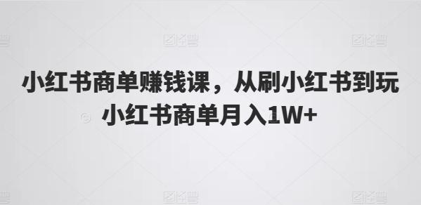 小红书商单赚钱课，从刷小红书到玩小红书商单月入1W+-天韵资源网