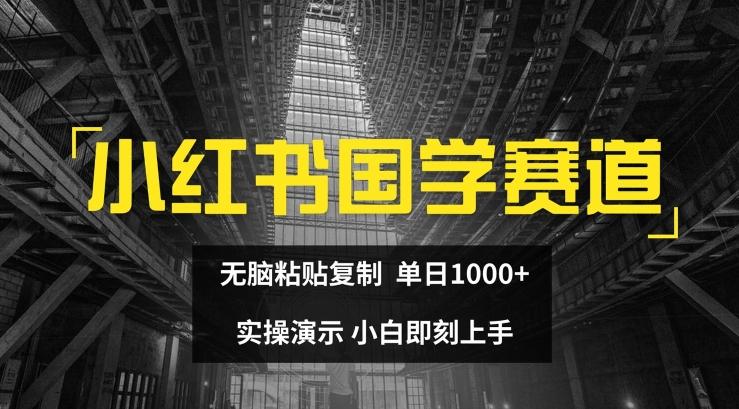 小红书国学赛道，无脑粘贴复制，单日1K，实操演示，小白即刻上手【揭秘】-天韵资源网