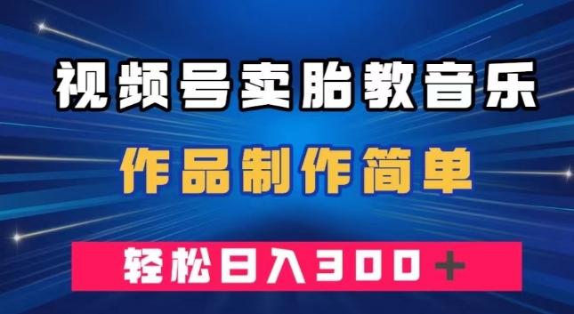 视频号卖胎教音乐，作品制作简单，一单49，轻松日入300＋-天韵资源网