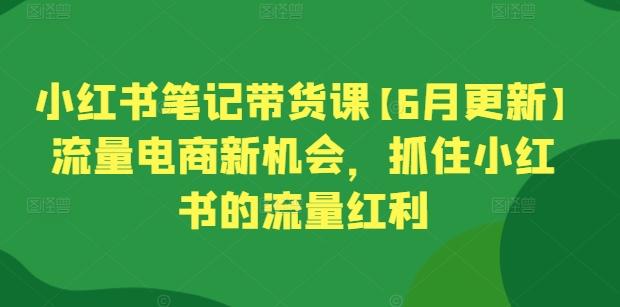 小红书笔记带货课【6月更新】流量电商新机会，抓住小红书的流量红利-天韵资源网