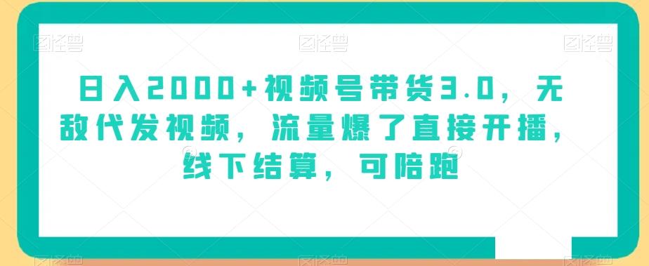 日入2000+视频号带货3.0，无敌代发视频，流量爆了直接开播，线下结算，可陪跑-天韵资源网