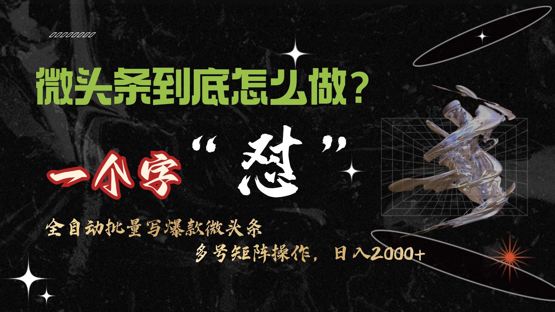 (9809期)微头条最新最强连怼操作，10分钟50条，真正解放双手，月入1w+-天韵资源网