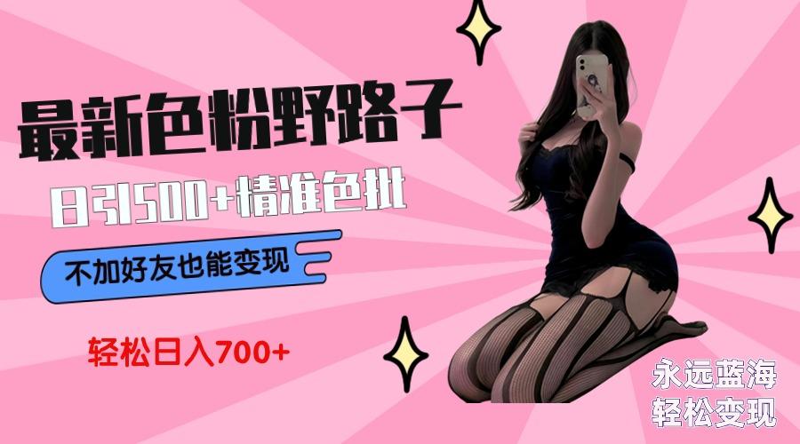 最新色粉变现野路子，日引500+老色批 可不加好友直接变现 小白轻松日入700+-天韵资源网