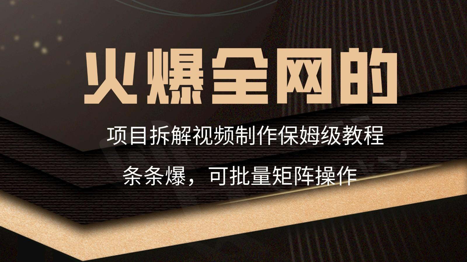 火爆全网的项目拆解类视频如何制作，条条爆，保姆级教程-天韵资源网