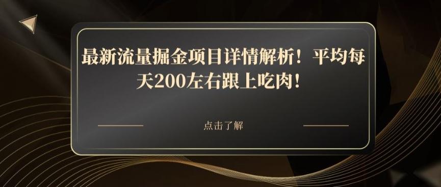 最新流量掘金项目详情解析！平均每天200左右跟上吃肉！-天韵资源网