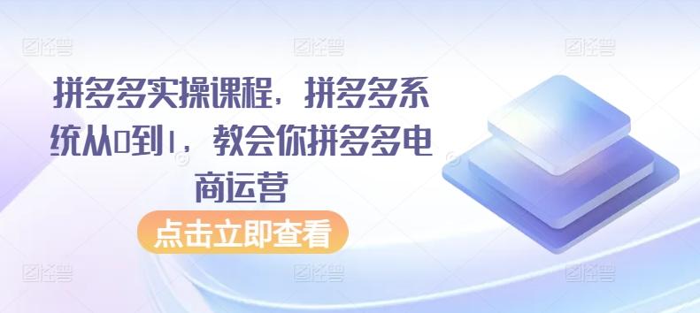 拼多多实操课程，拼多多系统从0到1，教会你拼多多电商运营-天韵资源网